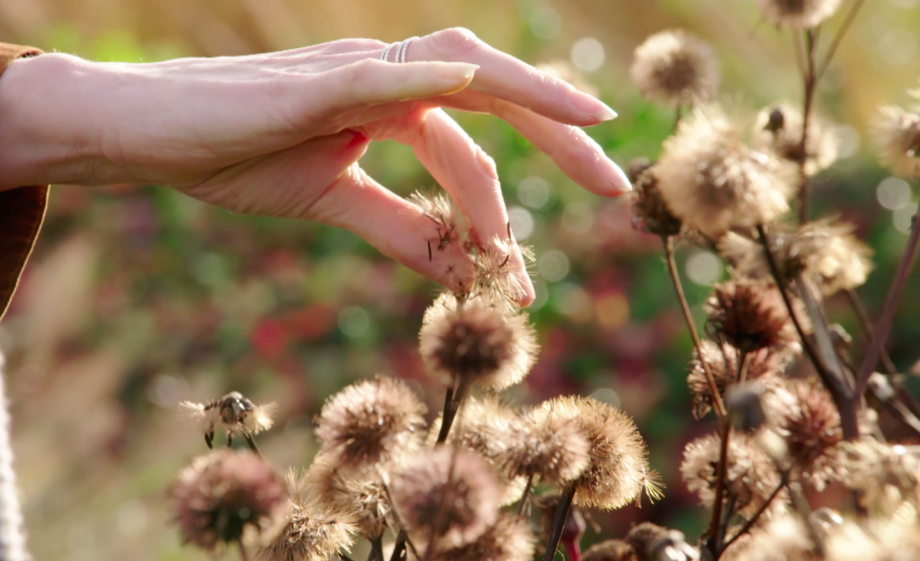 Maak zelf een kerstkrans met natuurlijke materialen | Still uit de uitzending