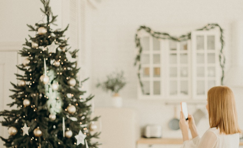 Kerstbomen inzamelen | Foto: Pexels