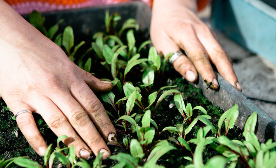 Manon Wijermars | Fotografie: Roos Wijermars
