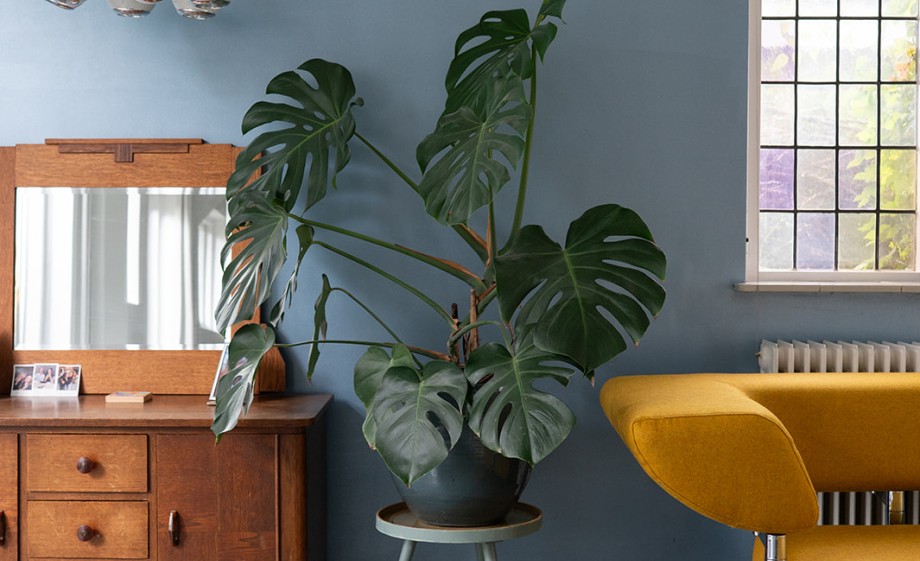 Met oog voor duurzaamheid verbouwen Angela en Jeroen een dokterswoning in Utrecht | Fotografie: Sheena Schouwink