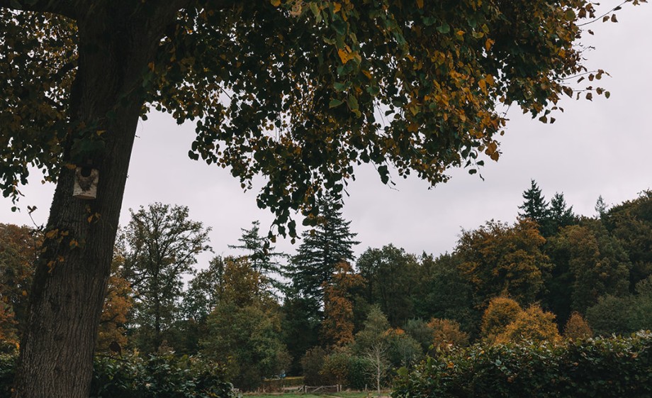 Kleurrijk droomhuis in Rheden | Fotografie: Sheena Schouwink