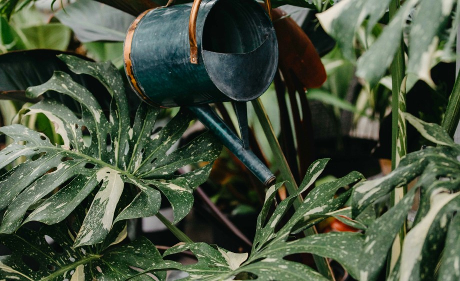 Tips voor in huis, duurzame huishoudhacks van Marieke Eyskoot | Foto: Unsplash