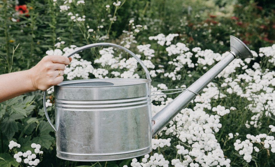 Tips voor in huis, duurzame huishoudhacks van Marieke Eyskoot | Foto: Unsplash