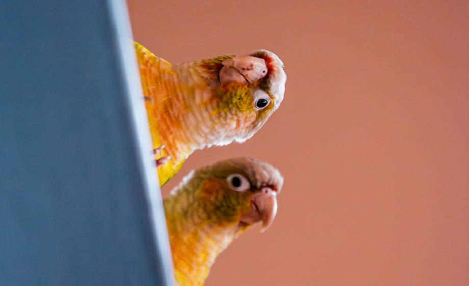 Tamara en Daan wonen in een stijlvol appartement in dit voormalige weeshuis in Den Haag | Fotografie: Roos Eijmers