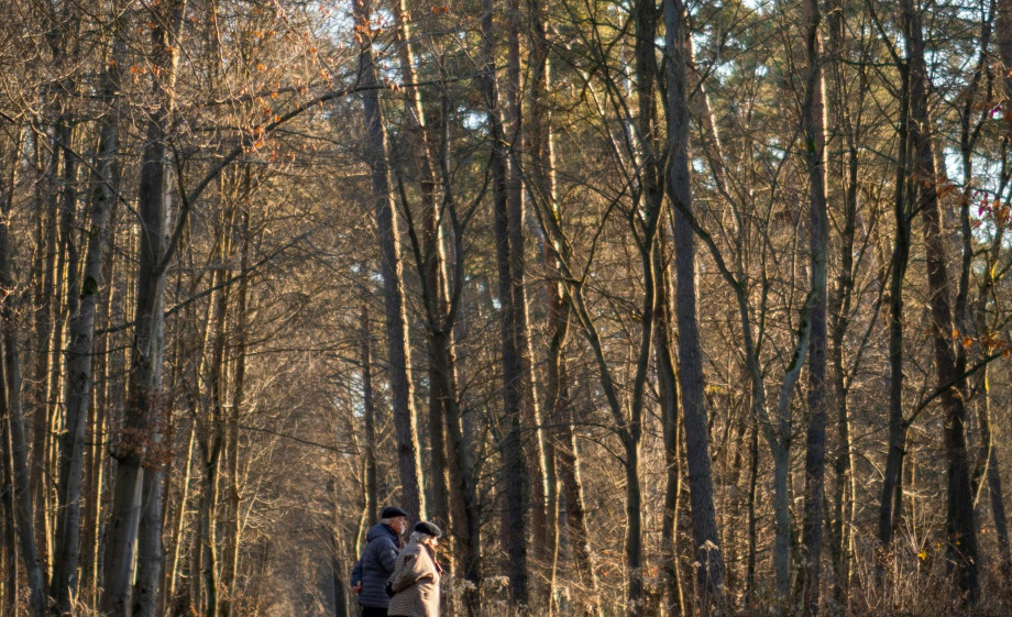 Wandeling bos. Bron: Pexels