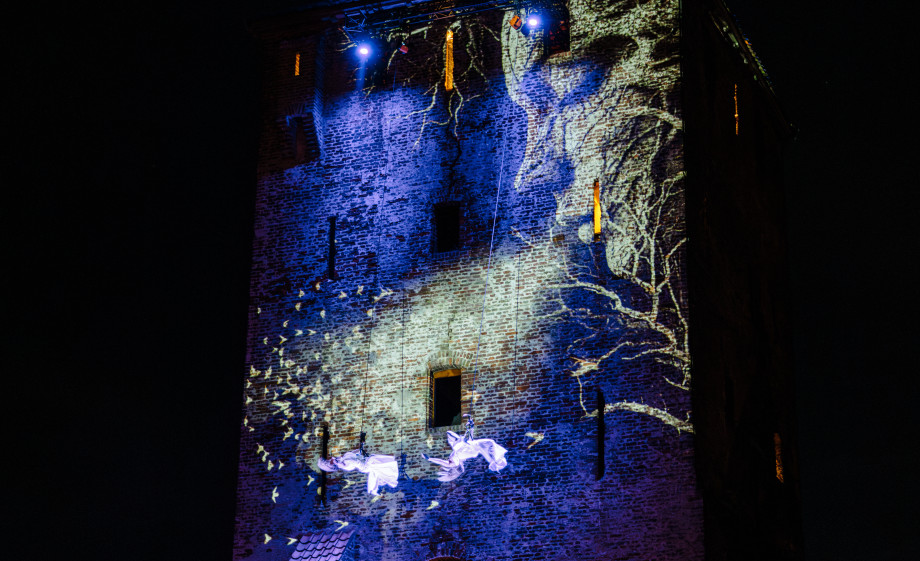Rapunzel Festival 's avonds