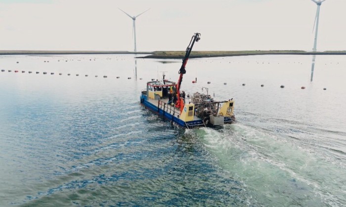 Wijnflessen uit het zeewater