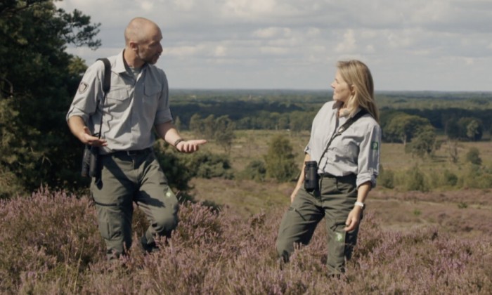 Sallandse heide