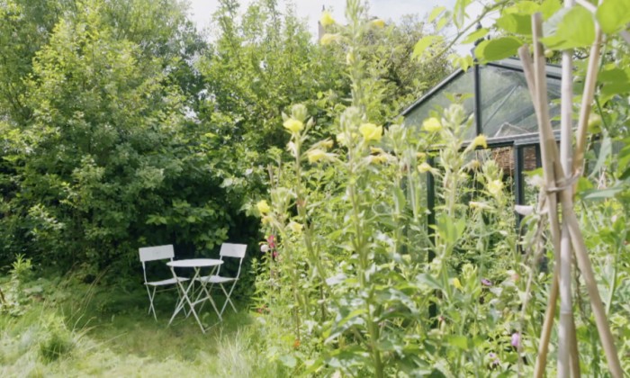 De tuin van Annetje