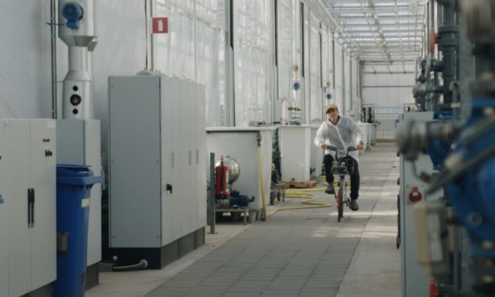 Fiets Fiets