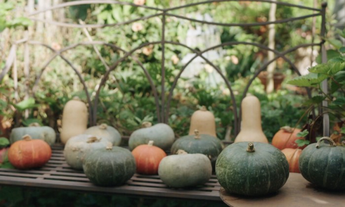 Pompoenen