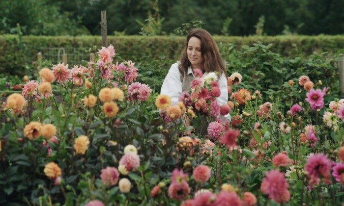 Bloemen