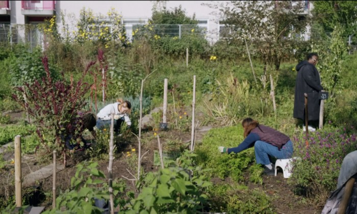 Vrouwen in de stadsmoestuin
