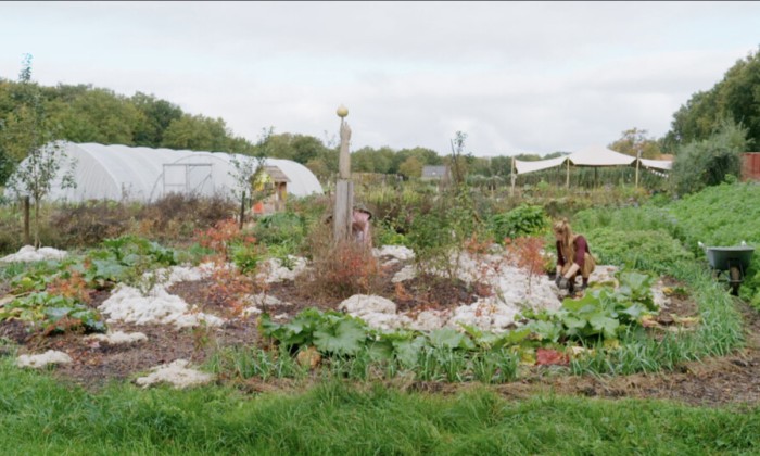 Hester in de voedseltuin