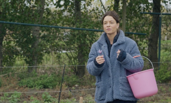 Rosah plukt verse saffraan