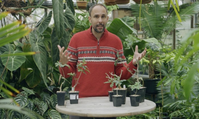 Rogier vertelt over wierook en mirre