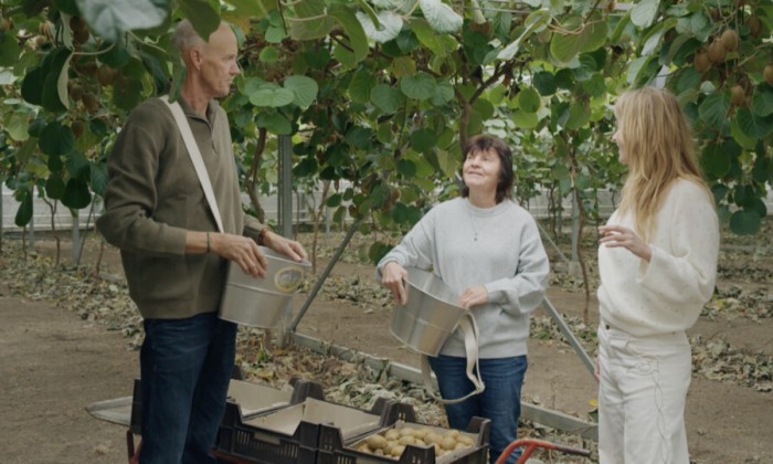 Jetske in de kiwikas in Kwintsheul