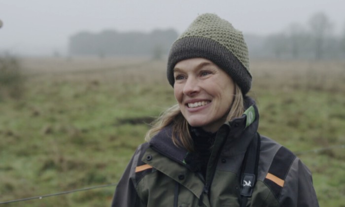 Grote grazers helpen de natuur herstellen in de Maashorst