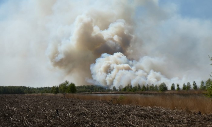 Brand in de Peel, foto: Lieke Verhoeven, Staatsbosbeheer