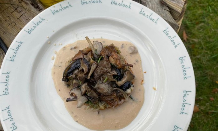 Taart van wilde en gekweekte paddenstoelen.