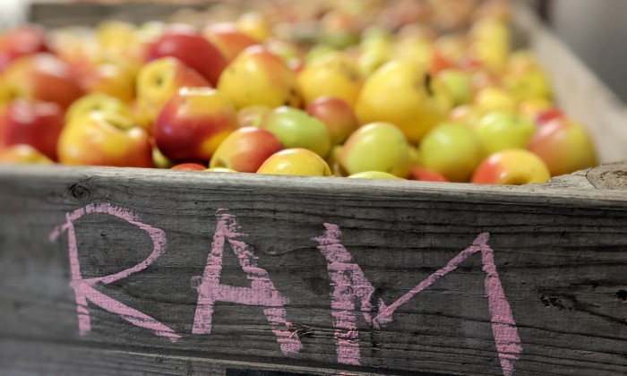 Appels van RAM | Foto: RAM