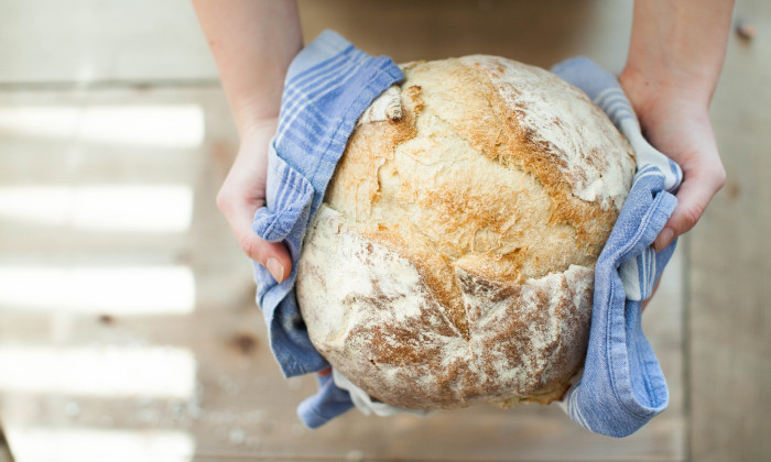 Brood | Foto: Pixabay