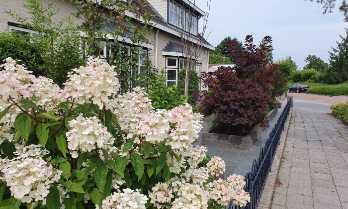 De voortuin van Bert en Hennie in Nijkerk