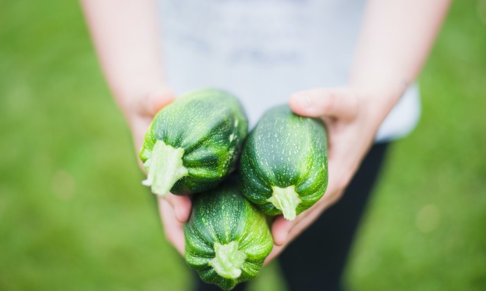 Courgettes | Foto: Pexels