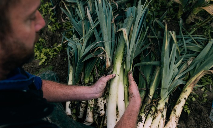 Boeren volgens christelijk rentmeesterschap