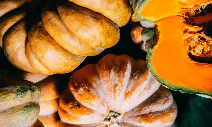 Pompoen | Foto: Pexels