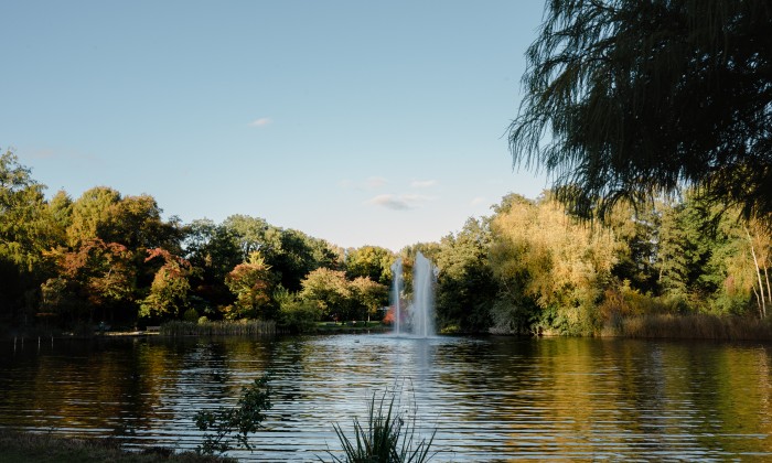 Amstelpark 50 jaar | Foto: Sheena Schouwink