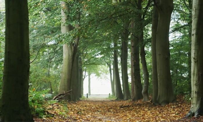 Gaasterland Friesland