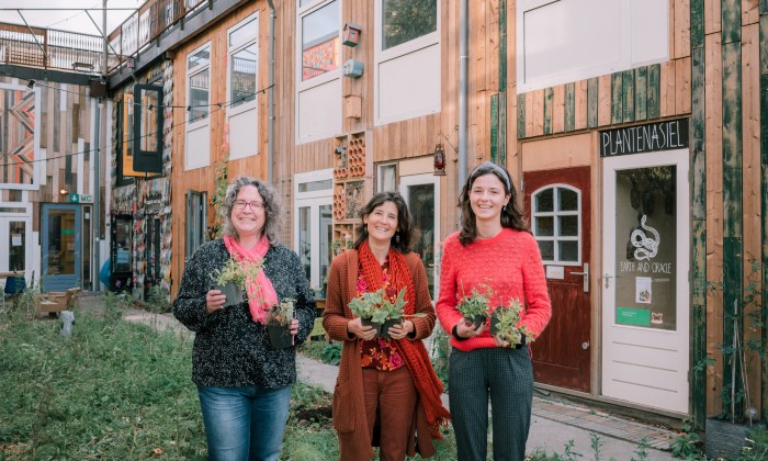 Guerilla Gardening - ShotbySheena