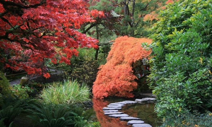 Japanse tuin in herfstkleuren | Foto: Pixabay
