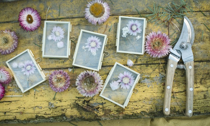 Natuurlijke kerstdecoratie uit eigen tuin dat jarenlang meegaat | Foto: Liesbeth Disbergen