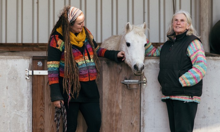 Gepensioneerde paarden - Foto: Marjon Lukje