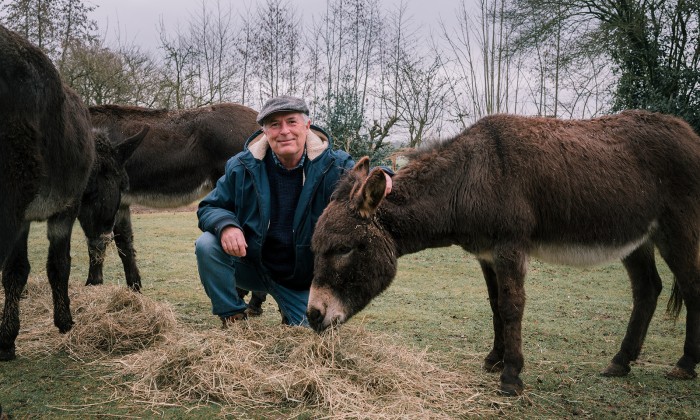 Stichting opvang de Ezelsociëteit | Fotografie: Sheena Schouwink