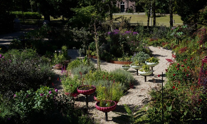 Bloementuin Nijmegen - Fotografie: Jitske de Vries