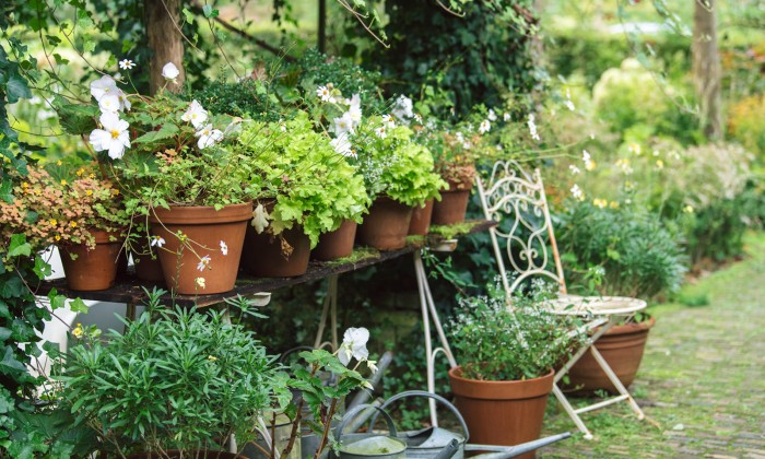 Herfsttuin van Marieke Nolsen | Foto: Liesbeth Disbergen