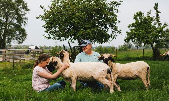 Lammetjes in Bergambacht | Fotografie: Roos Eijmers