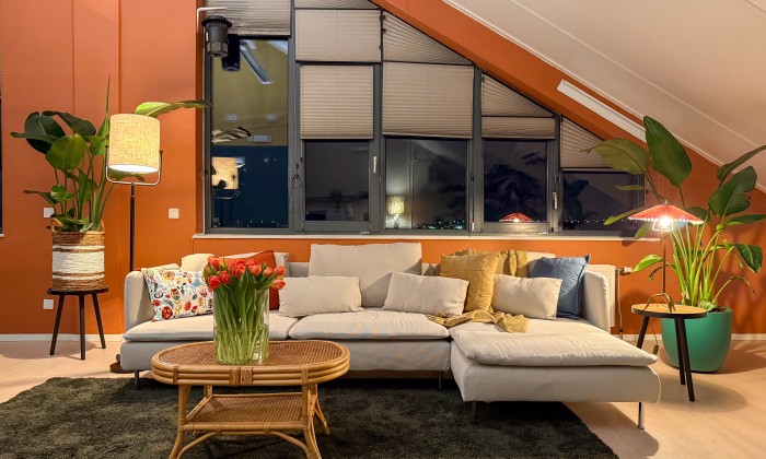 Theo-Bert knapt een noodopvang op