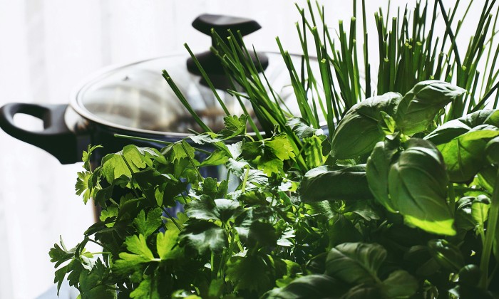 Tips om je verse kruiden goed te bewaren | Foto: Pexels