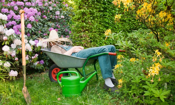 Je tuin water geven in de zomer | Foto: Adobe Stock 
