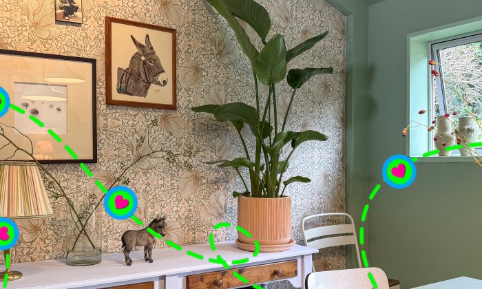 Metamorfose ezelopvang Theo-Bert Pot