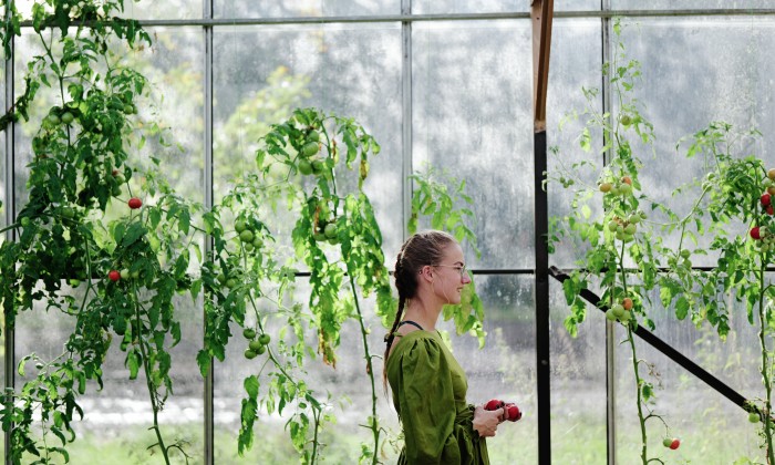 Amber Zandberg-Banis in haar kas