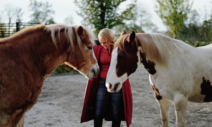 Paardenparadijs | Fotografie: Marjon Lukje