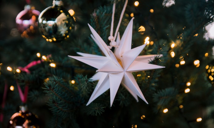 Kerst duurzaam vieren | Fotografie: Sheena Schouwink