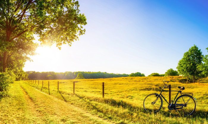 Zomer in Nederland
