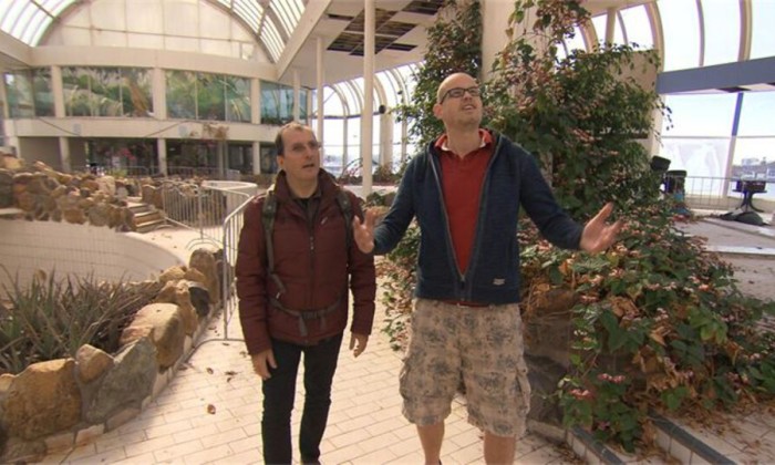 Oesterzwammen op koffiedik