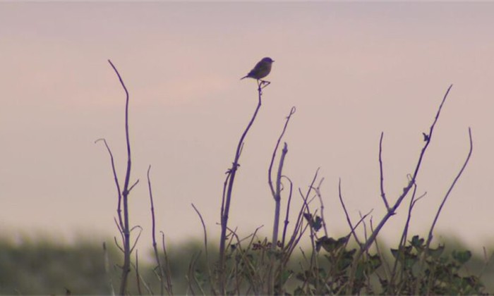 16 natuur